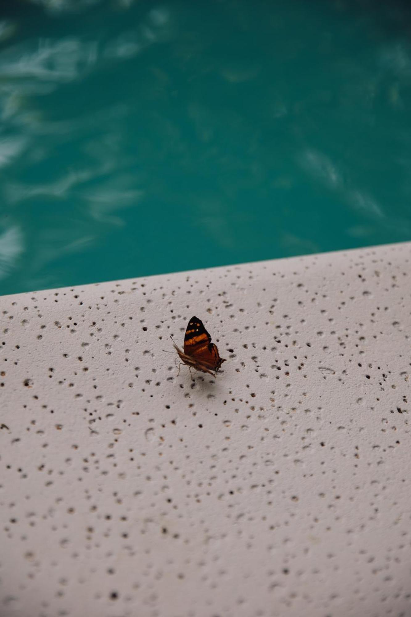 Tierra Guarani Lodge Puerto Iguazú Kültér fotó